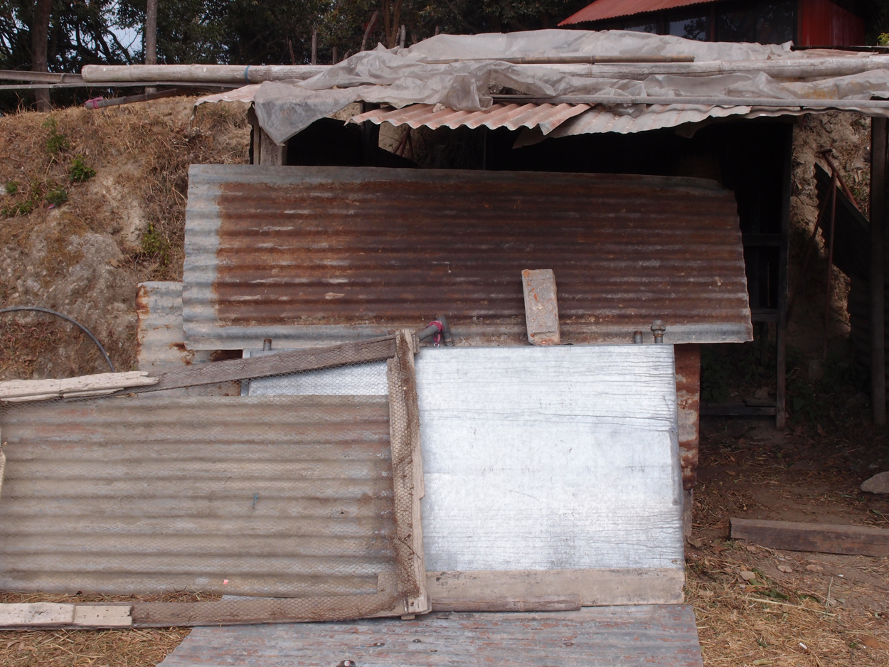 2018-01-16 12 Uhr - Im Shivapuri Nagarjun National Park (Nagi Gumba) (Foto) 